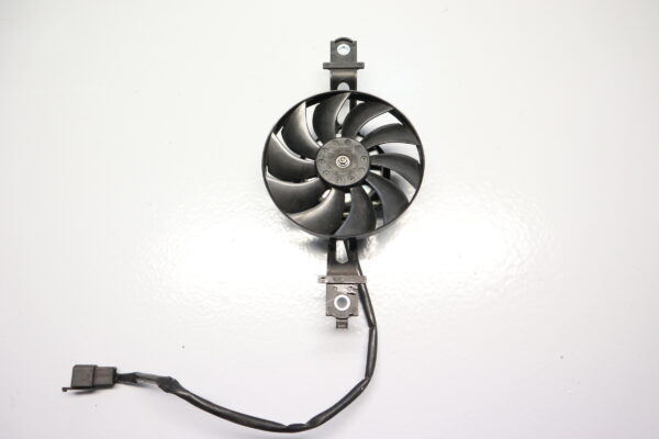 Ventilador Burgman 125 200 E3C224 PPG30