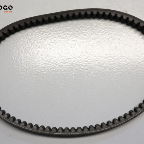 Correa Burgman 125 200 06-13 M3C738