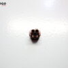 Conector Burgman 250 400 98-02 E3C598