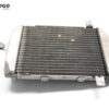 Radiador Burgman 250 400 02-06 M3C790 - Imagen 2