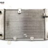 Radiador Burgman 250 400 02-06 M3C790 - Imagen 6