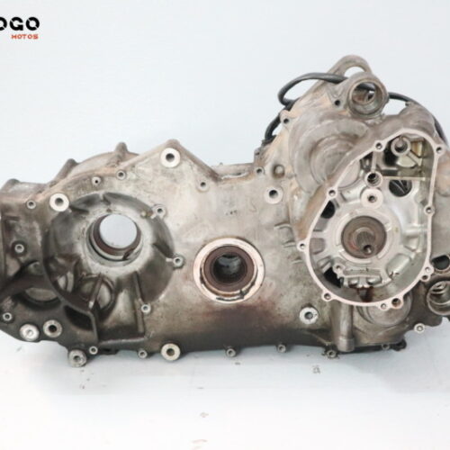 Bloque motor Burgman 650 02-13 M1B019