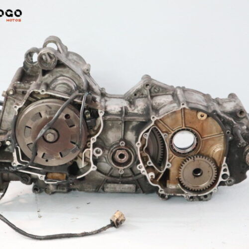 Bloque motor Burgman 650 02-13 M1B020
