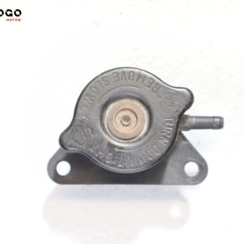 Tapón radiador    Suzuki Burgman 125/150 2002-2006 M3C904