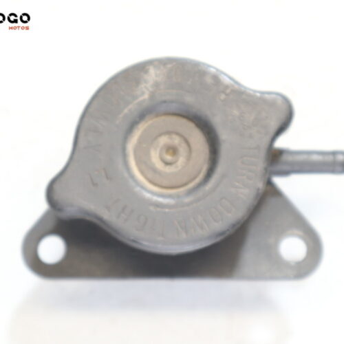 Tapón radiador    Suzuki Burgman 125/150 2002-2006 M3C909