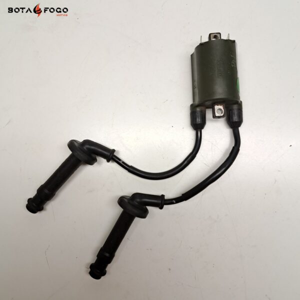 Bobina 2-3 Honda Hornet 600 2003-2007 E3A0213