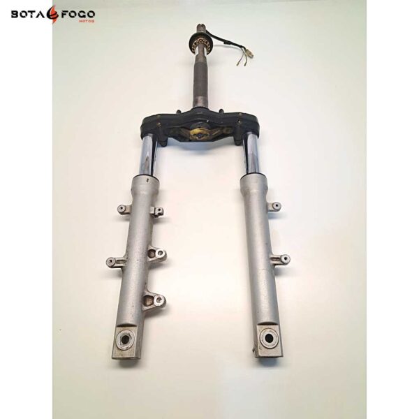 Horquilla Honda Foresight 250 1998-2005 C3H0159