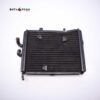 Radiador    Aprilia Sportcity 250 2008 M3A0730