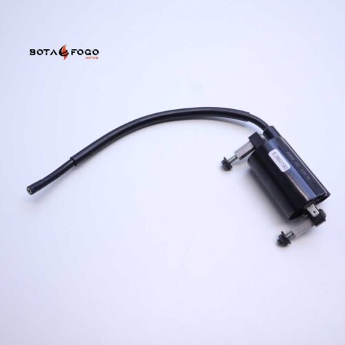 Bobina Suzuki Inazuma Gw 250 2012-2018 E3B0190