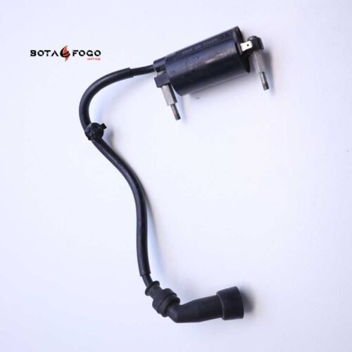 Bobina Suzuki Inazuma Gw 250 2012-2018 E3B0191